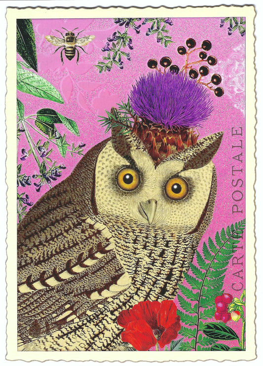 Edition Tausendschön - Owl - Postcard