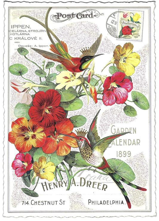 Edition Tausendschön - Flowers with Birds - PK939 - Postcard