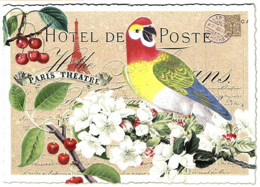Edition Tausendschön - Parrot - PK982 - Postcard