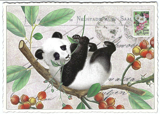 Panda Postcard by Edition Tausendschön featuring an illustration of a panda bear with a branch and leaves in the background, with glitter details