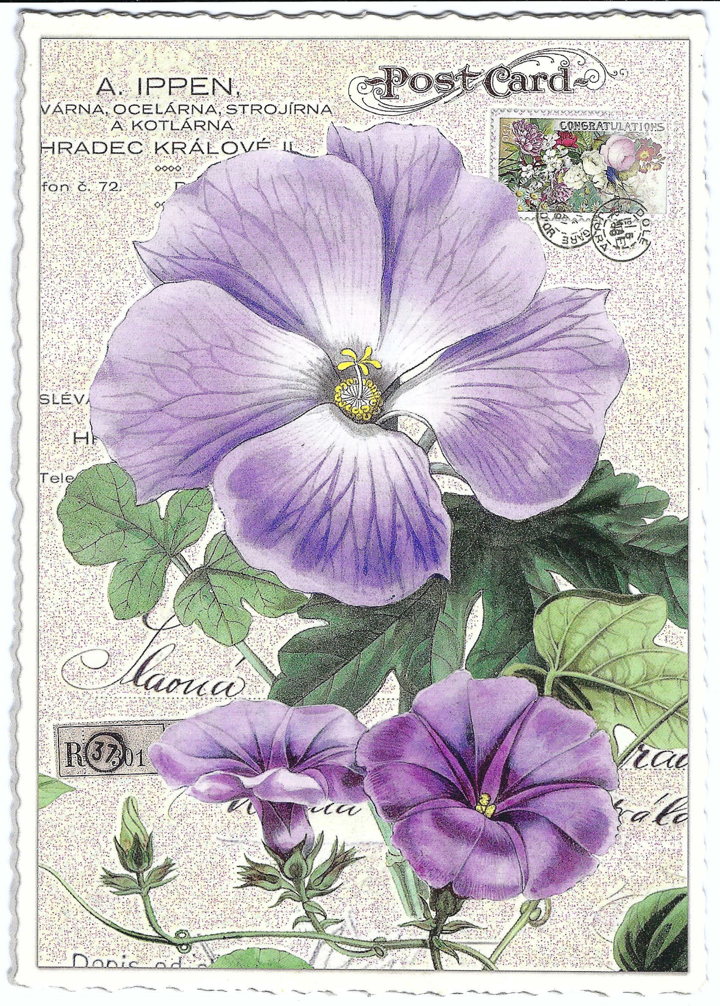 Edition Tausendschön - Pansy - PK895 - Postcard