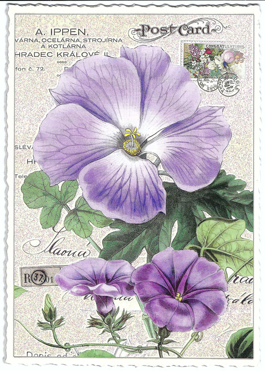 Edition Tausendschön - Pansy - PK895 - Postcard