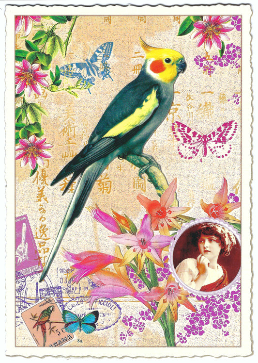 Edition Tausendschön - Parrot - PK376- Postcard