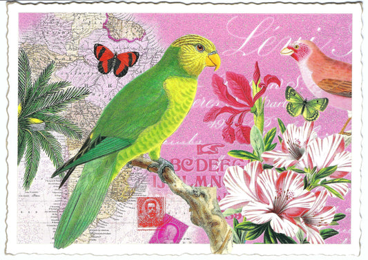 Edition Tausendschön - Parrot - PK984 - Postcard