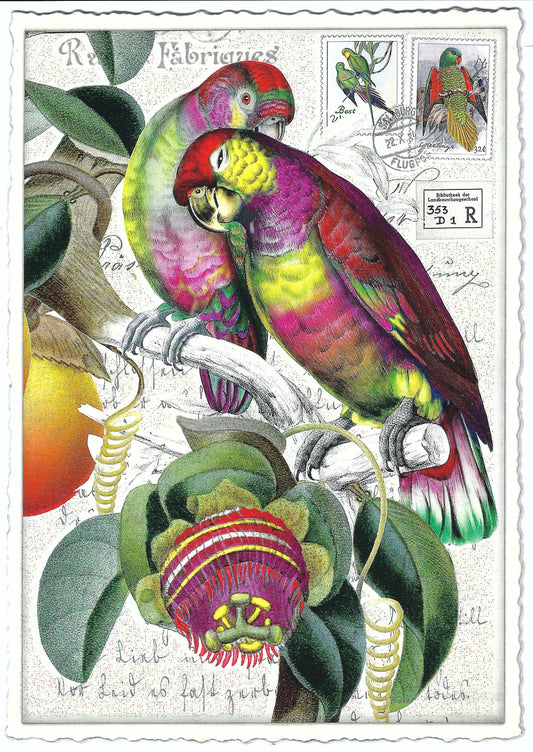 Edition Tausendschön - Parrots - PK828 - Postcard