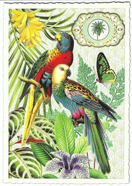 Edition Tausendschön - Parrots - PK917 - Postcard