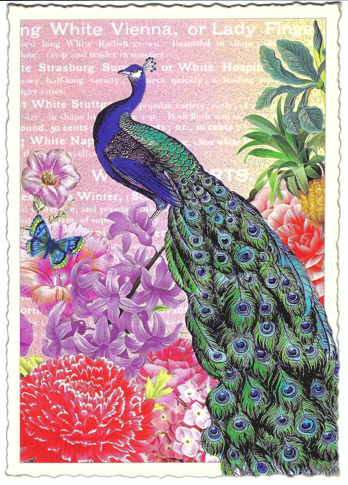 Edition Tausendschön - Peacock - PK483 - Postcard