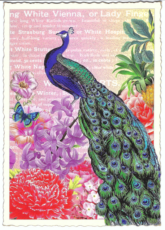 Edition Tausendschön - Peacock - PK483 - Postcard