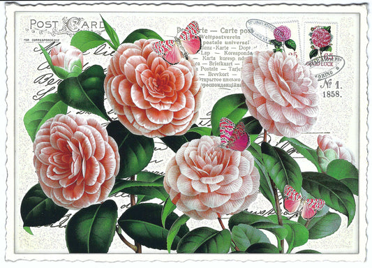 Edition Tausendschön - Peony - PK666 - Postcard