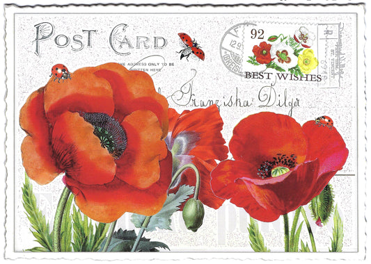 Edition Tausendschön - Poppy - Poppies - Postcard