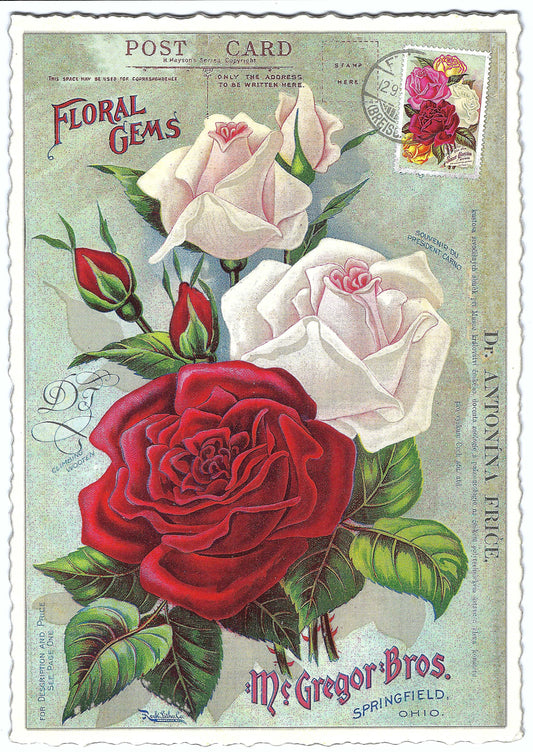 Edition Tausendschön - Roses - PK893 - Postcard