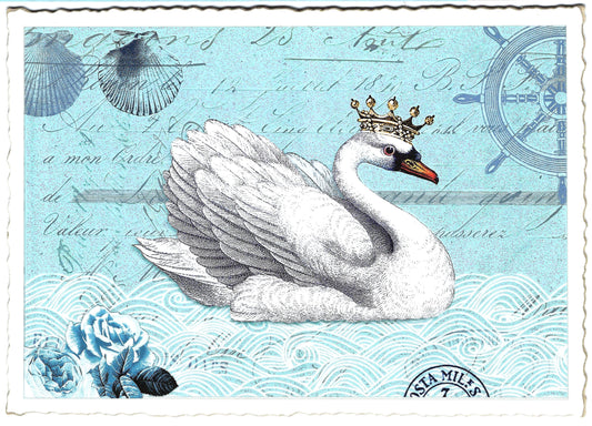 Edition Tausendschön  Swan Postcard