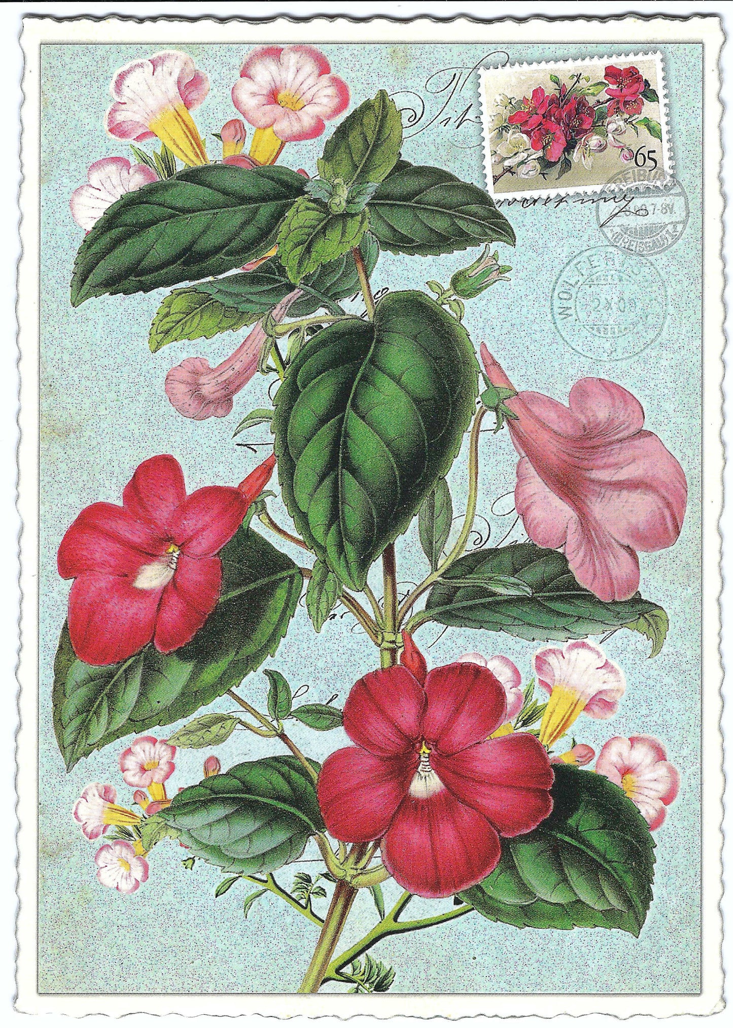 Edition Tausendschön - Trumpet Flower - PK890 - Postcard