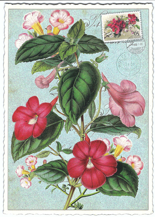 Edition Tausendschön - Trumpet Flower - PK890 - Postcard