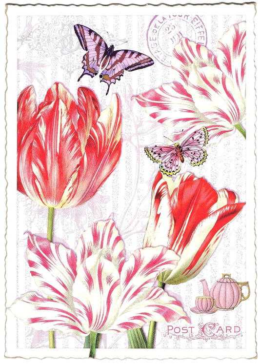 Edition Tausendschön - Tulips - PK784 - Postcard