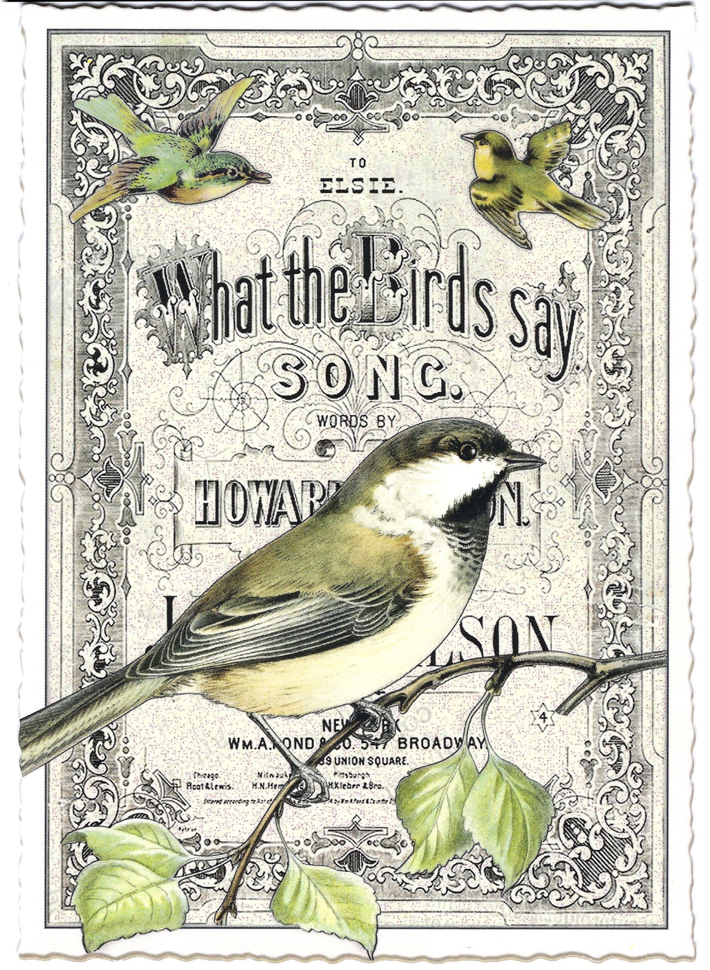 Edition Tausendschön - What the Birds Say - PK1096 - Postcard
