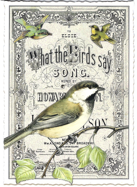 Edition Tausendschön - What the Birds Say - PK1096 - Postcard