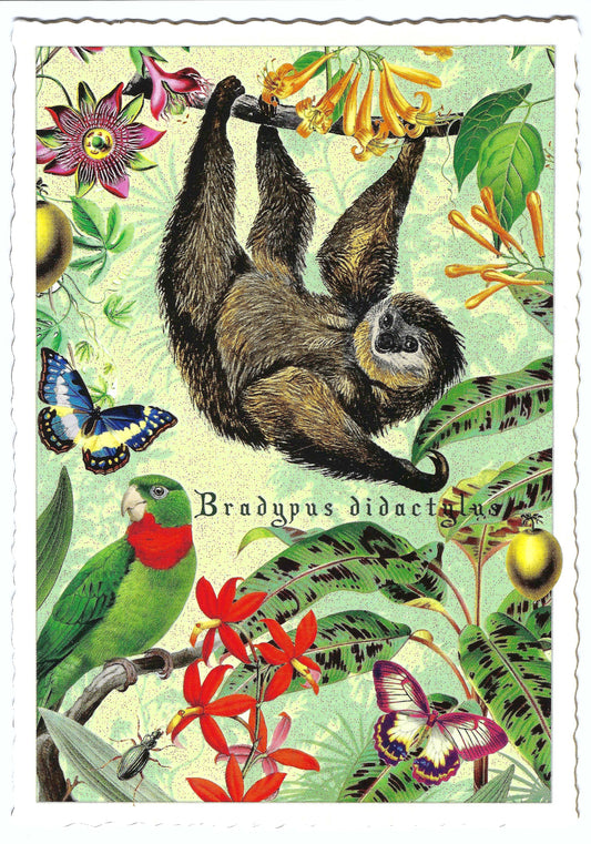 Edition Tausendschön - Wildlife Edition - Sloth - PK1121 - Postcard