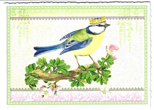 Edition Tausendschön - Wren - Bird - PK194 - Postcard