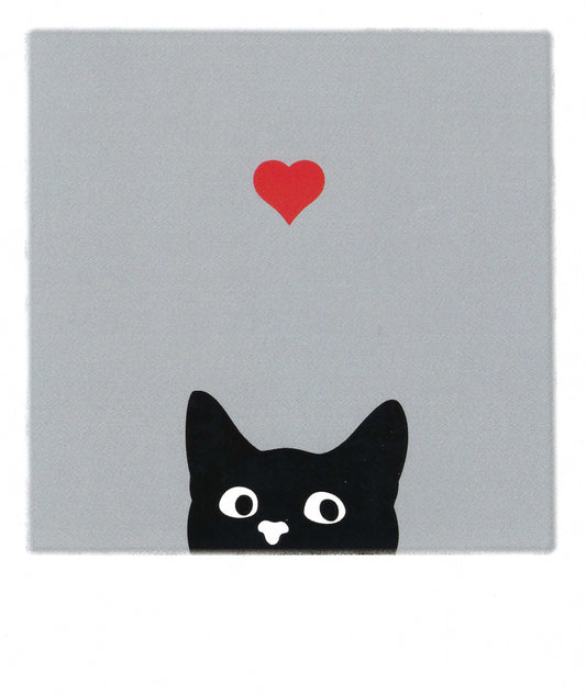 Pola Card -Black Cat - Heart - Postcard