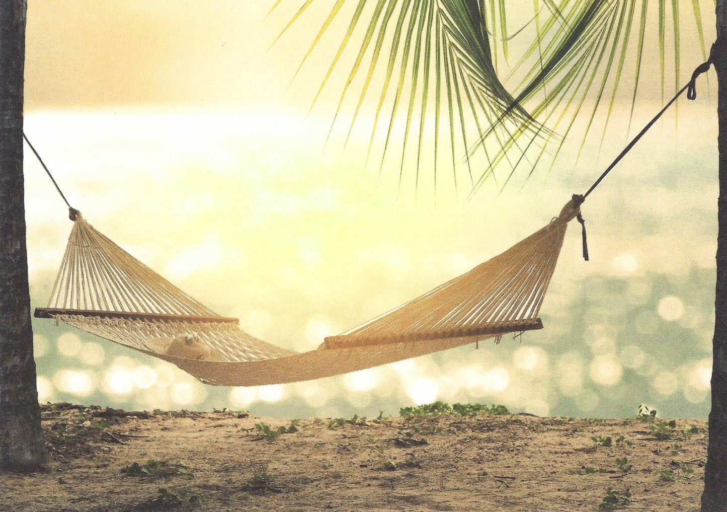 Taurus Kunstkarten - Beach - Hammock - Palm Tees - Postcard
