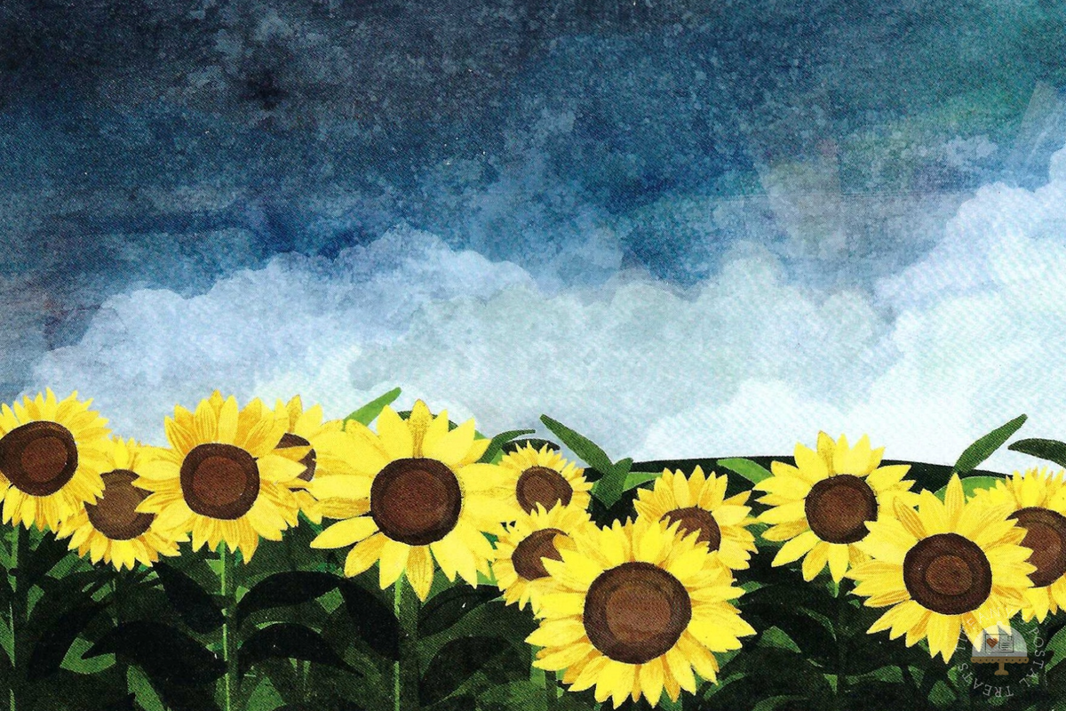 Sunflower Fields Postcard by Katherine Blower showing a field of bright yellow sunflowers with dark brown centers and green leaves beneath a dramatic blue sky with white clouds.