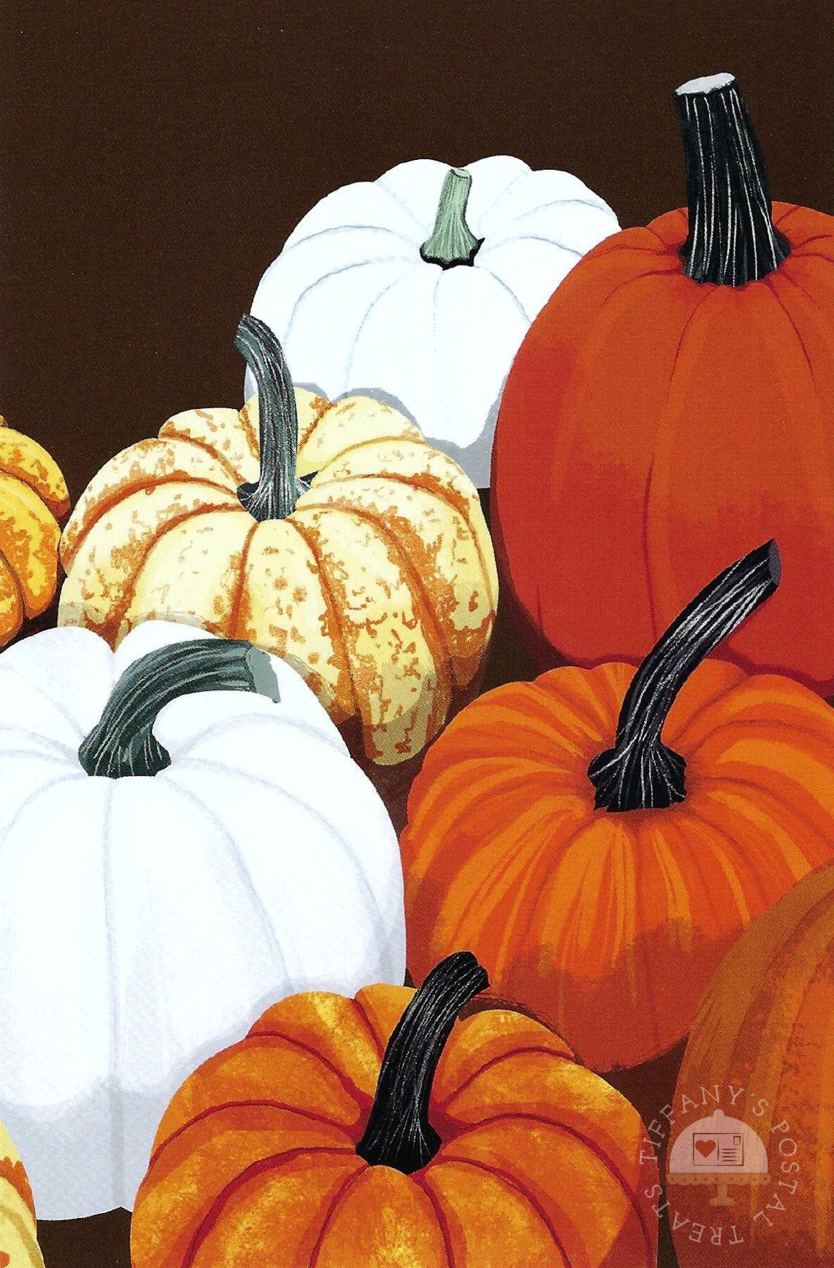Pumpkins Postcard by Katherine Blower showing several pumpkins and gourds clustered together against a dark brown background. The pumpkins include white, orange, and pale yellow-orange varieties with dark stems.
