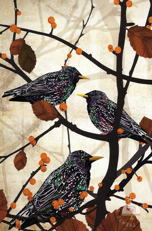 Starlings Postcard by Katherine Blower showing three starling birds perched on dark branches with orange berries and brown leaves against a textured cream background.