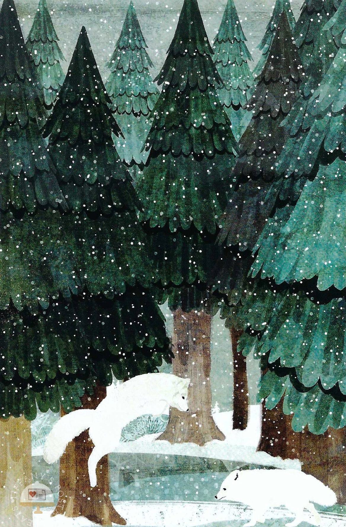 Arctic Foxes Postcard by Katherine Blower featuring a winter forest scene with tall dark green evergreen trees, falling snow, and two white arctic animals playing on the snow.