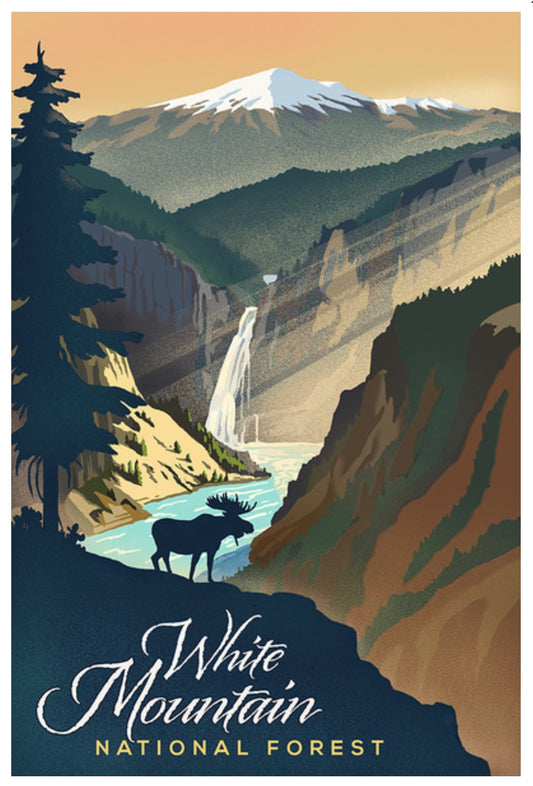 White Mountain National Forest postcard by Lantern Press – stylized travel art featuring New Hampshire’s scenic landscape, printed on recycled paper