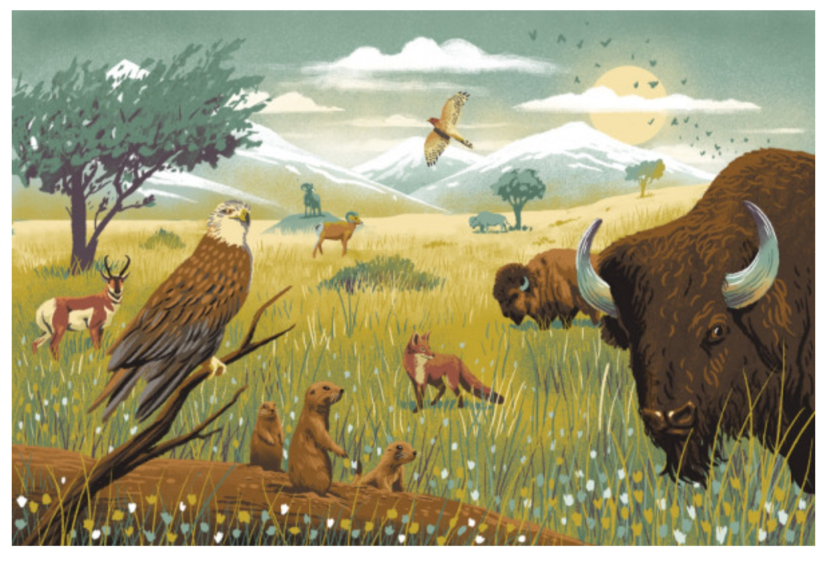 Wildlife Utopia - Prairie Postcard by Lantern Press featuring a wildlife landscape showing a bison in the foreground, an eagle perched on a branch, antelope, foxes, trees, mountains, and a sun in a grassy field.