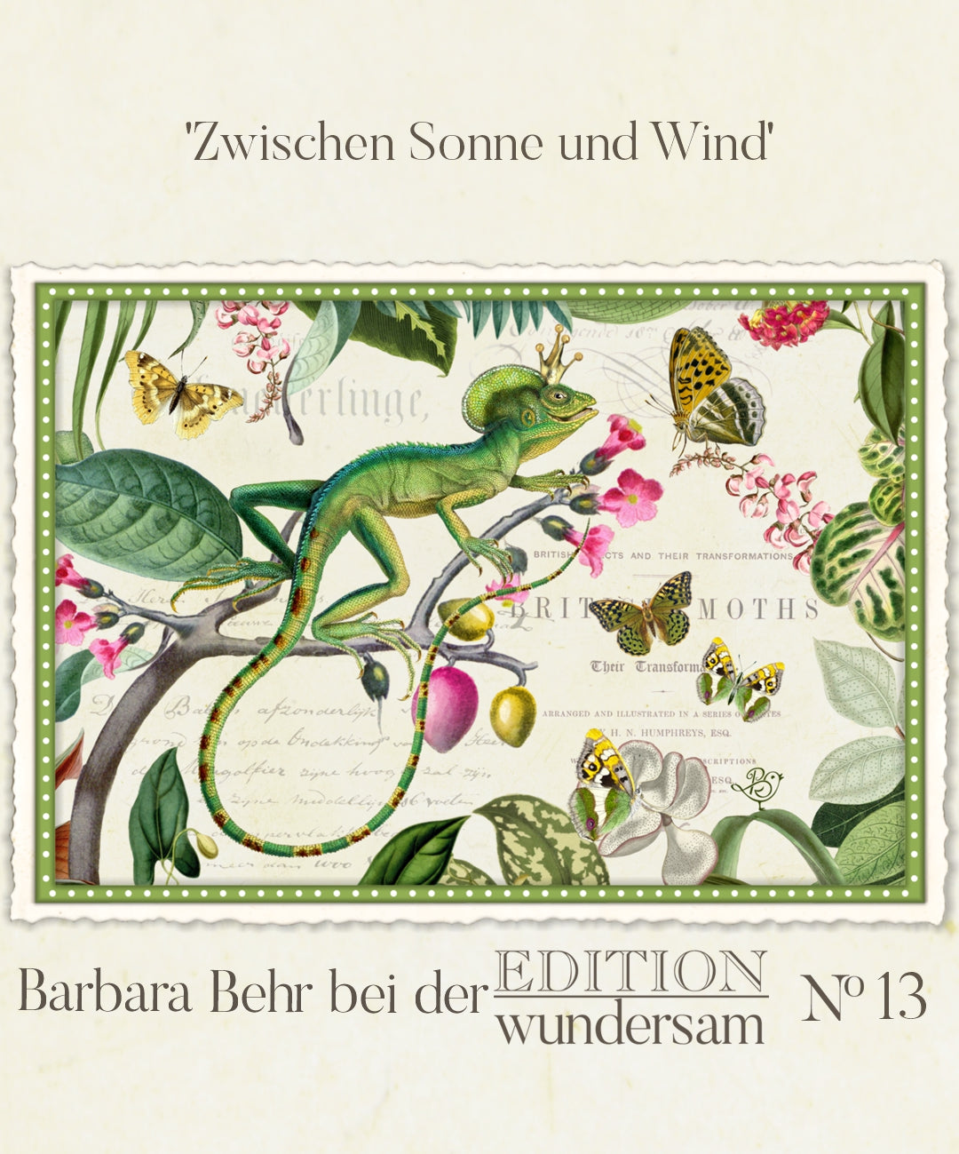 Between Sun and Wind Postcard by Barbara Behr - Edition Wundersam No. 13 featuring a green lizard, butterflies, and flowers