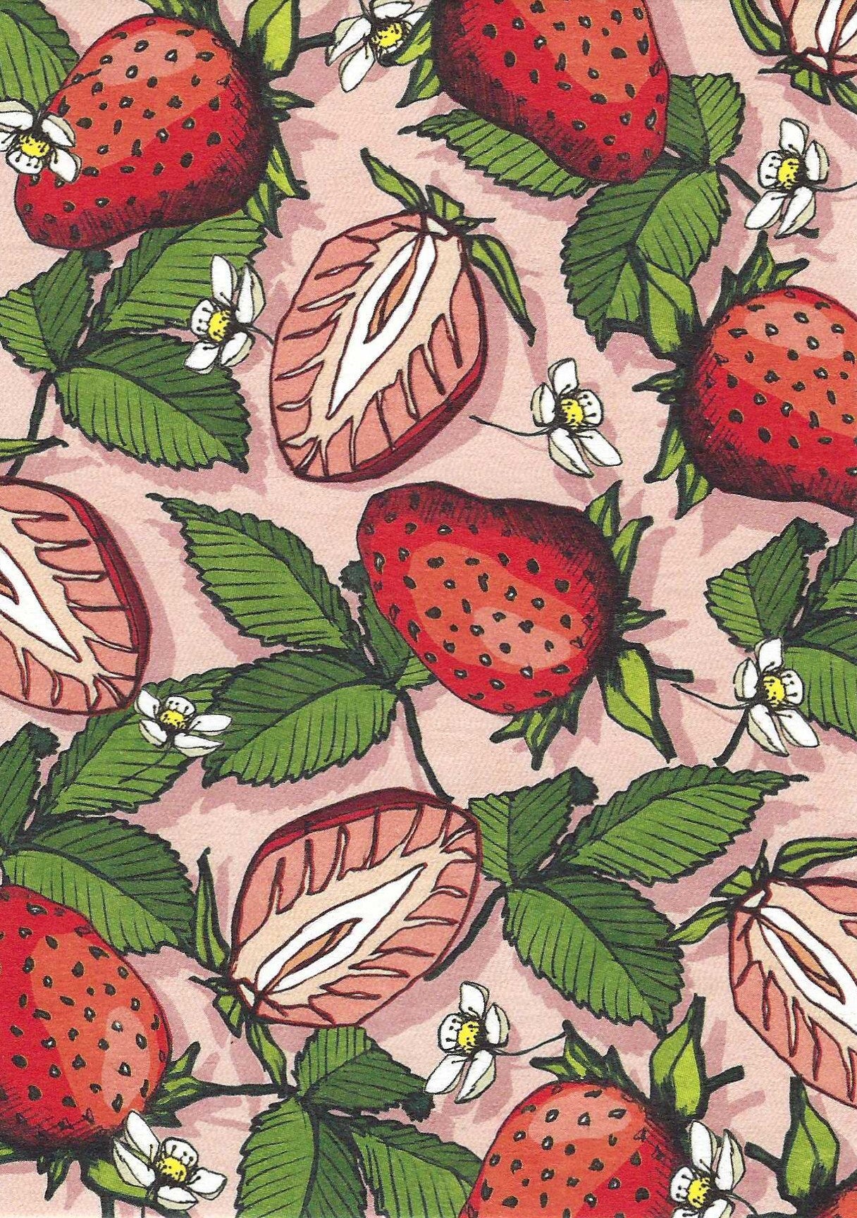 Edi Strawberry Postcard, illustrated by illi for Nobis Design featuring a pattern of strawberries, leaves, and flowers on a pink background