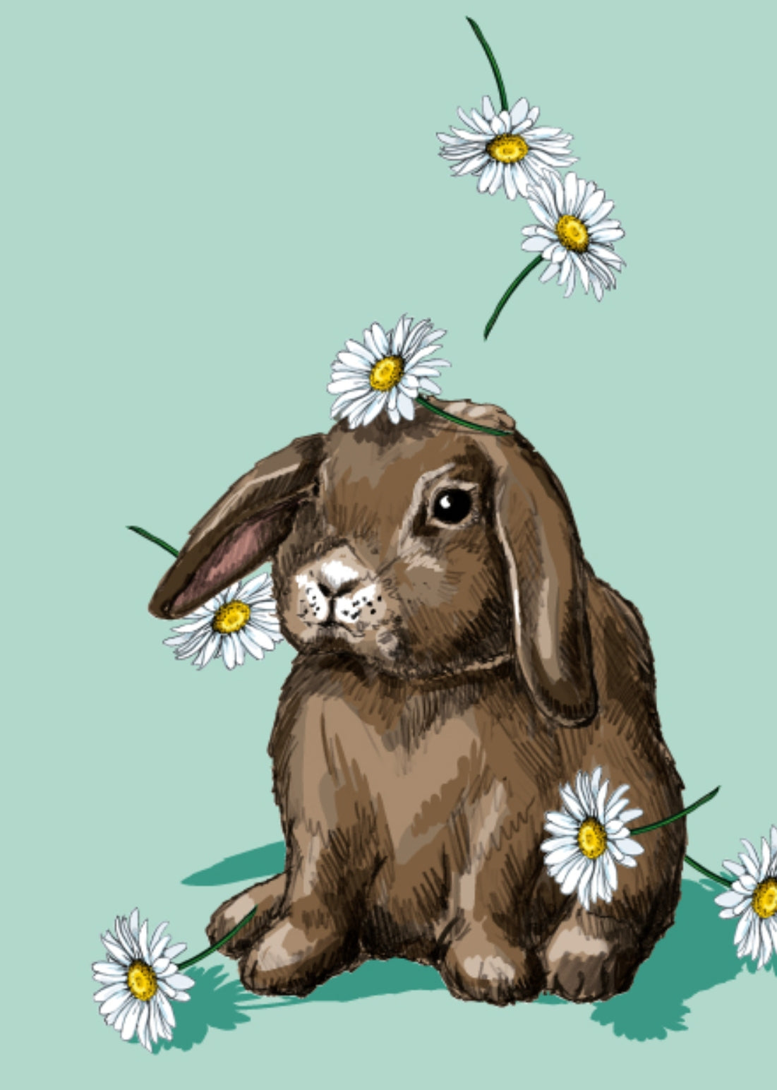 Janku Bunny Postcard, illustrated by illi for Nobis Design featuring a brown rabbit with daisies on a light blue background