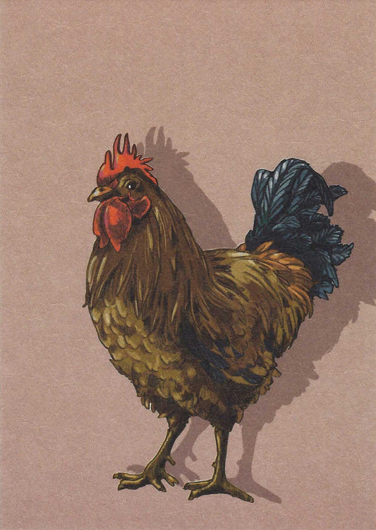 Karlo - Rooster Postcard illustrated by illi for Nobis Design featuring a rooster on a beige background