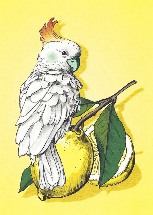 Liro Bird and Lemon Postcard by Nobis Design featuring an illustration of a cockatoo perched on a lemon with a yellow background