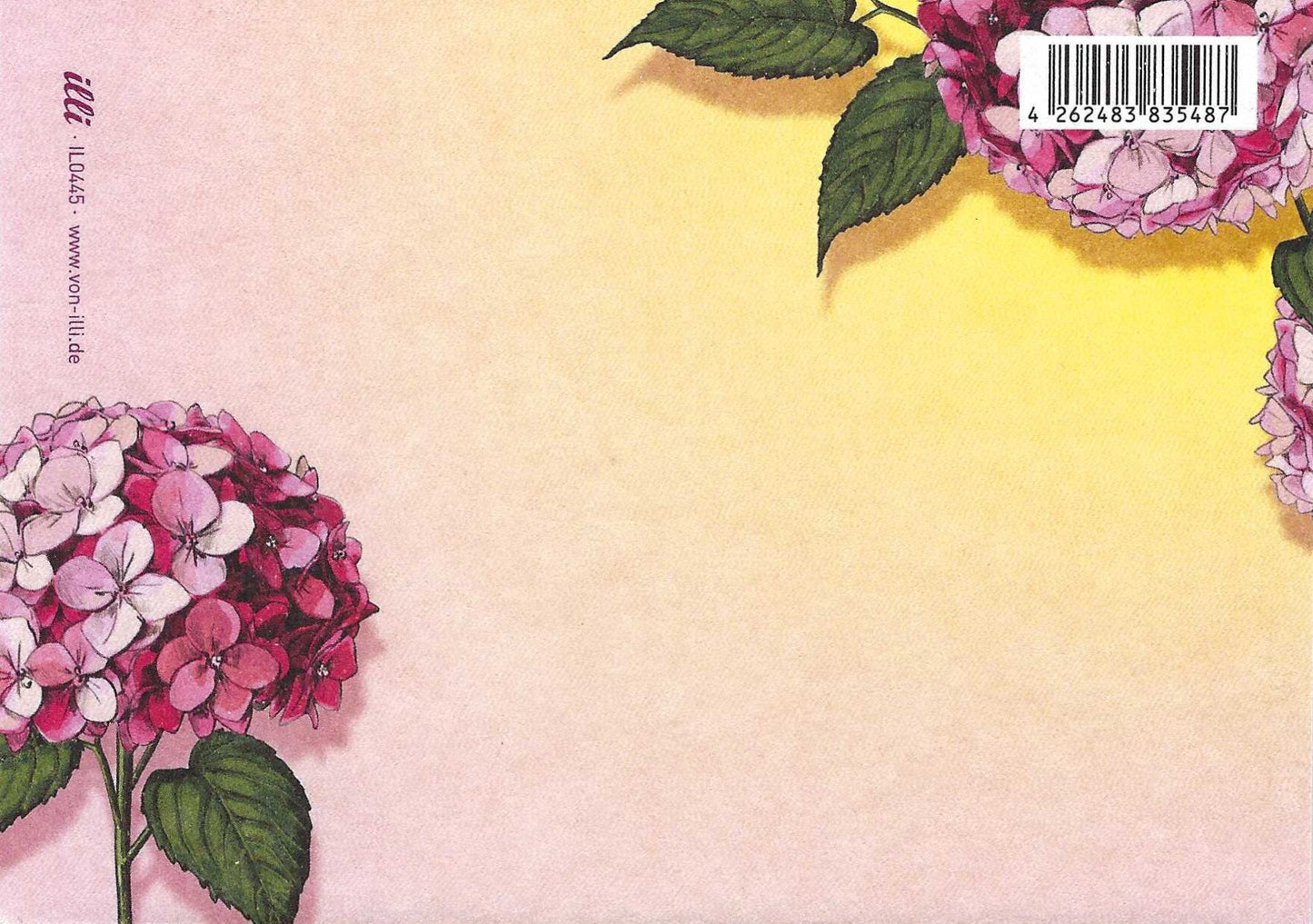 illi postcard back featuring illustration of pink hydrangea flowers with green leaves on a gradient background