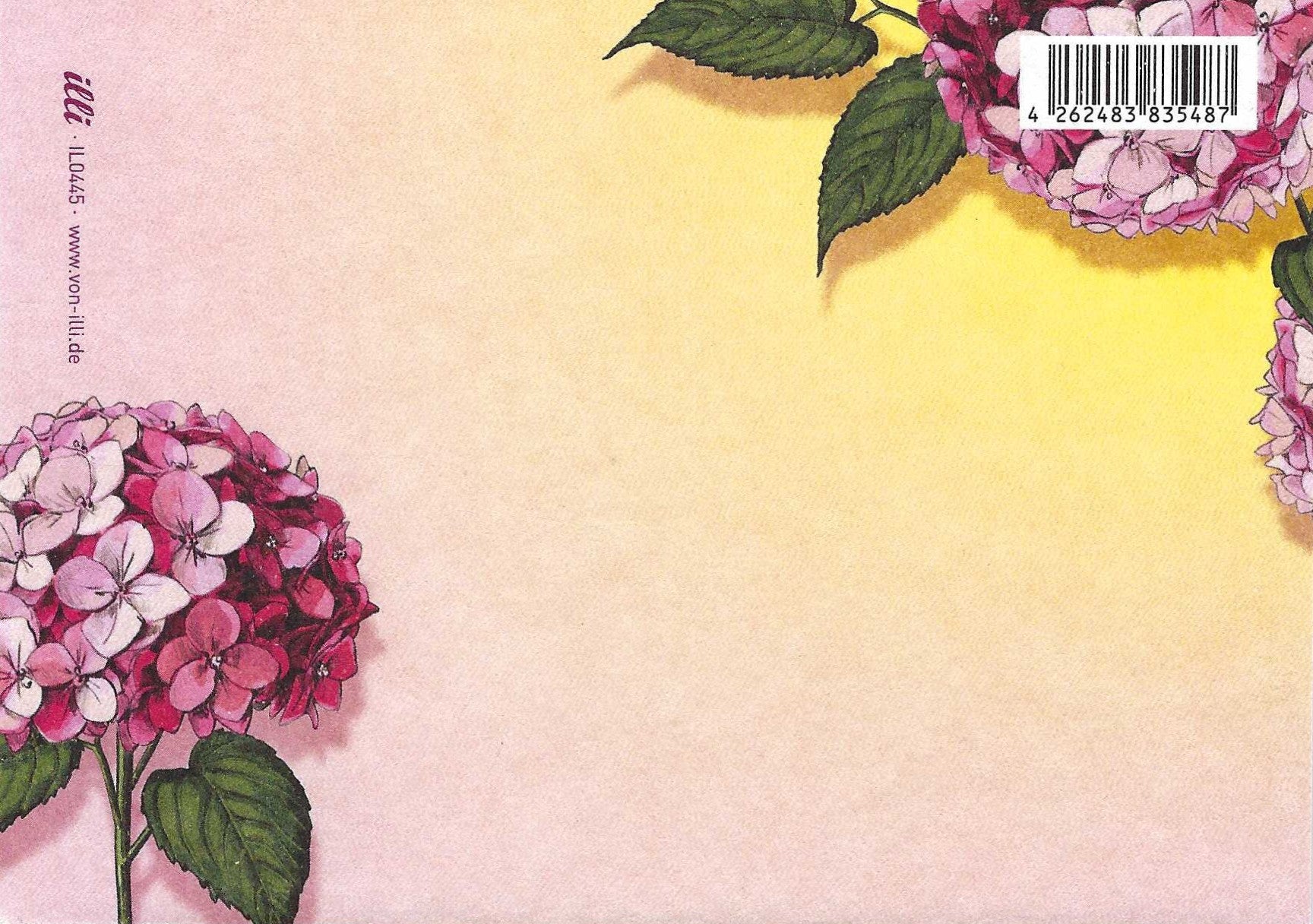illi postcard back featuring illustration of pink hydrangea flowers with green leaves on a gradient background