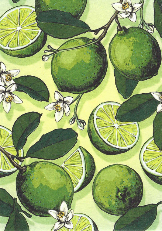 Metti - Lime Postcard by Nobis Design featuring an illustration of green limes with leaves and flowers on a light green background