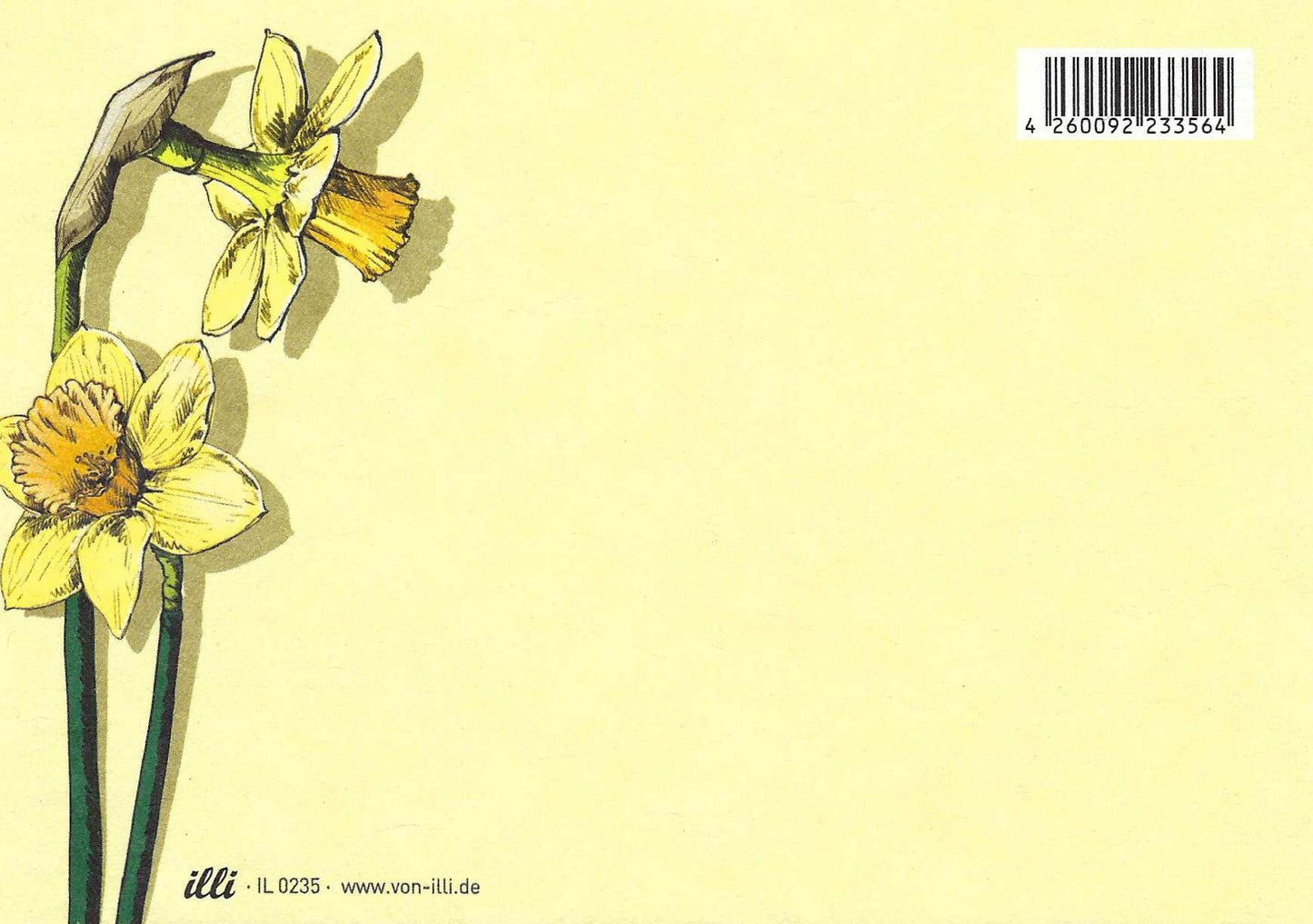 Nari Daffodils Postcard Back, illustrated by illi for Nobis Design featuring two yellow daffodil flowers on ayellowl background