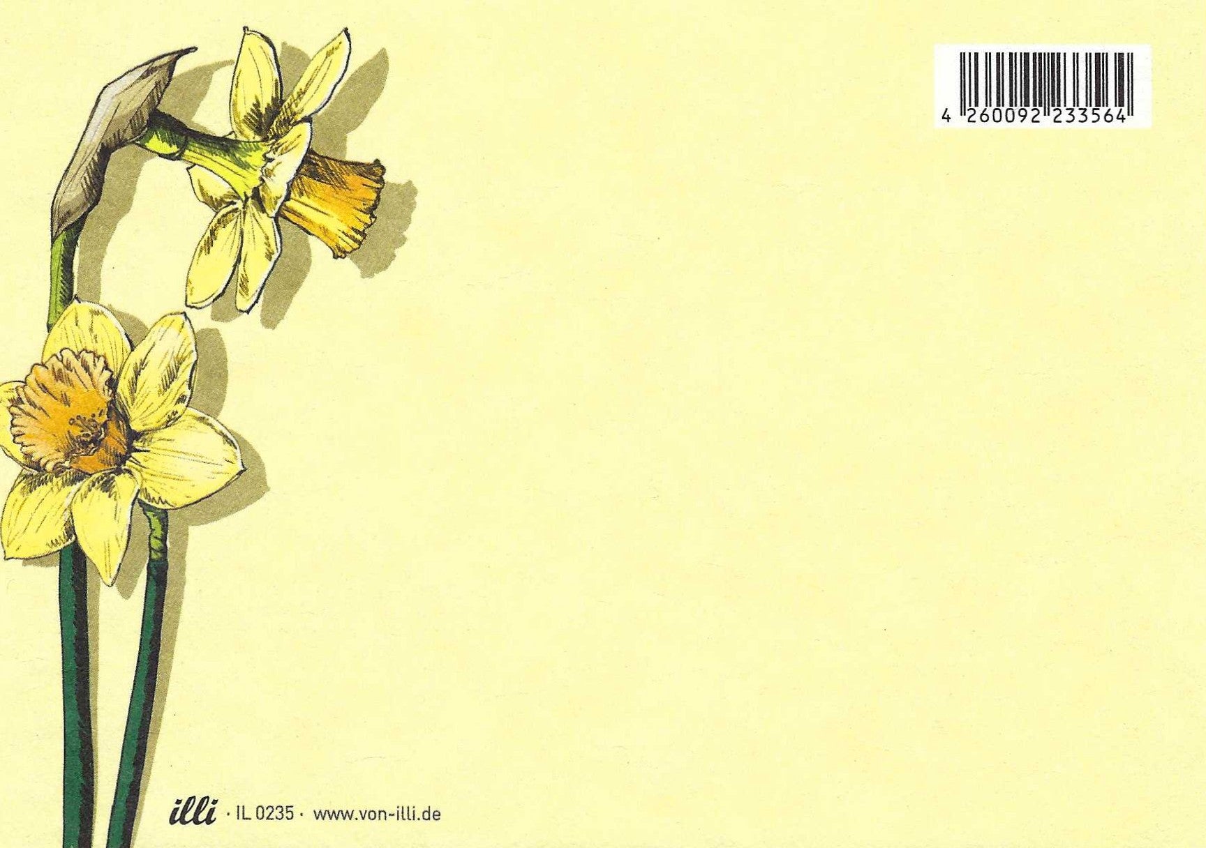 Nari Daffodils Postcard Back, illustrated by illi for Nobis Design featuring two yellow daffodil flowers on ayellowl background