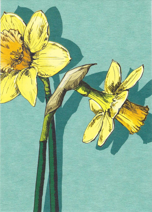 Nari Daffodils Postcard, illustrated by illi for Nobis Design featuring two yellow daffodil flowers on a teal background