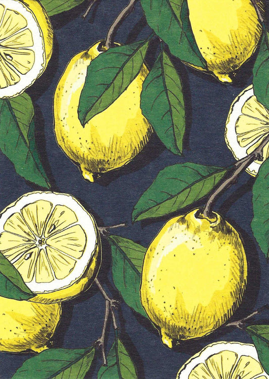 Zinba - Lemons Postcard by Nobis Design