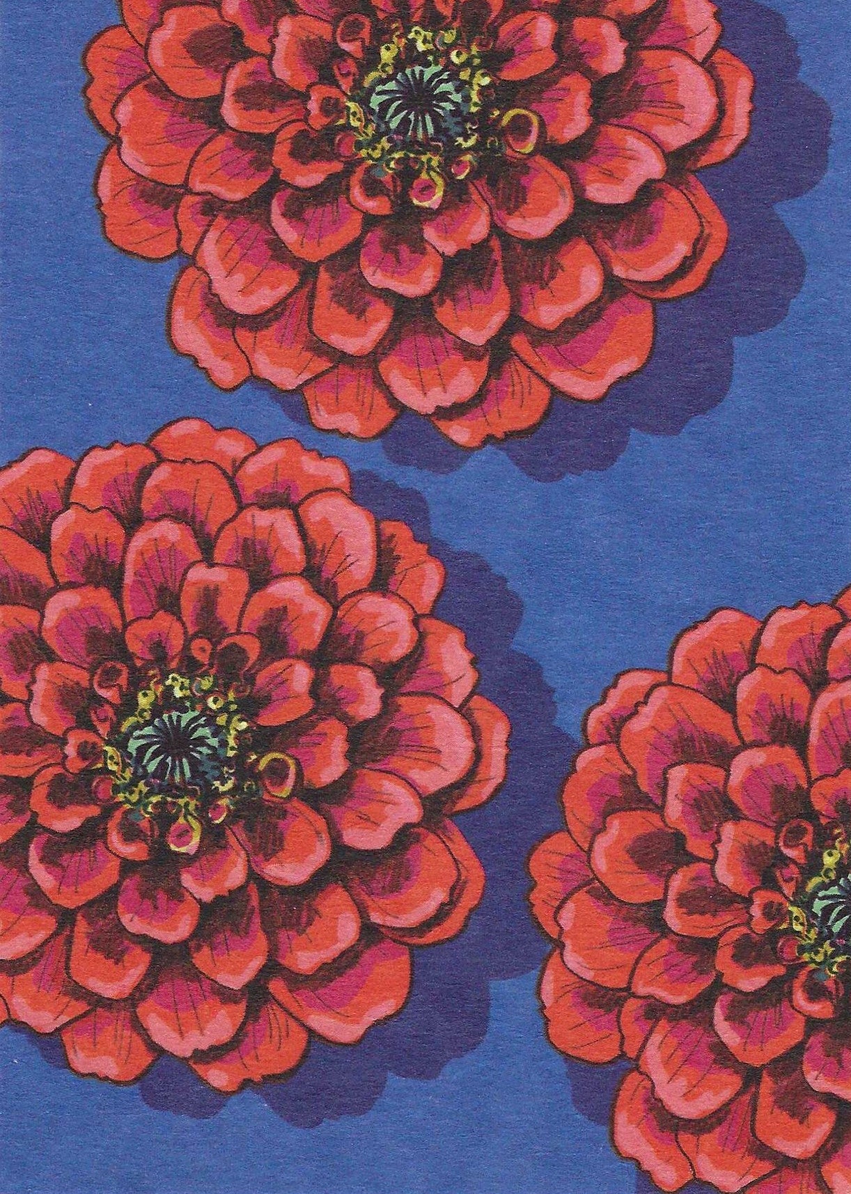 Zinno Flower Postcard by Nobis Design featuring an illustration of red flowers with green centers on a blue background