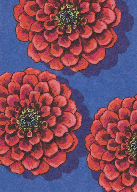 Zinno Flower Postcard by Nobis Design featuring an illustration of red flowers with green centers on a blue background