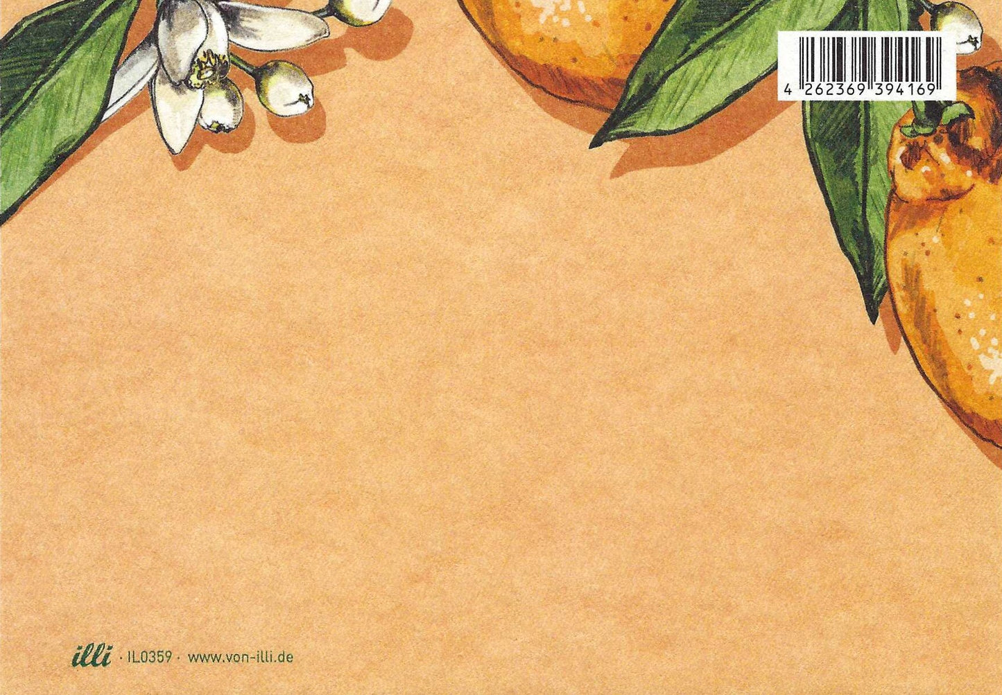 ONARA Postcard Back illustrated by illi for Nobis Design featuring oranges and flowers on an orange background