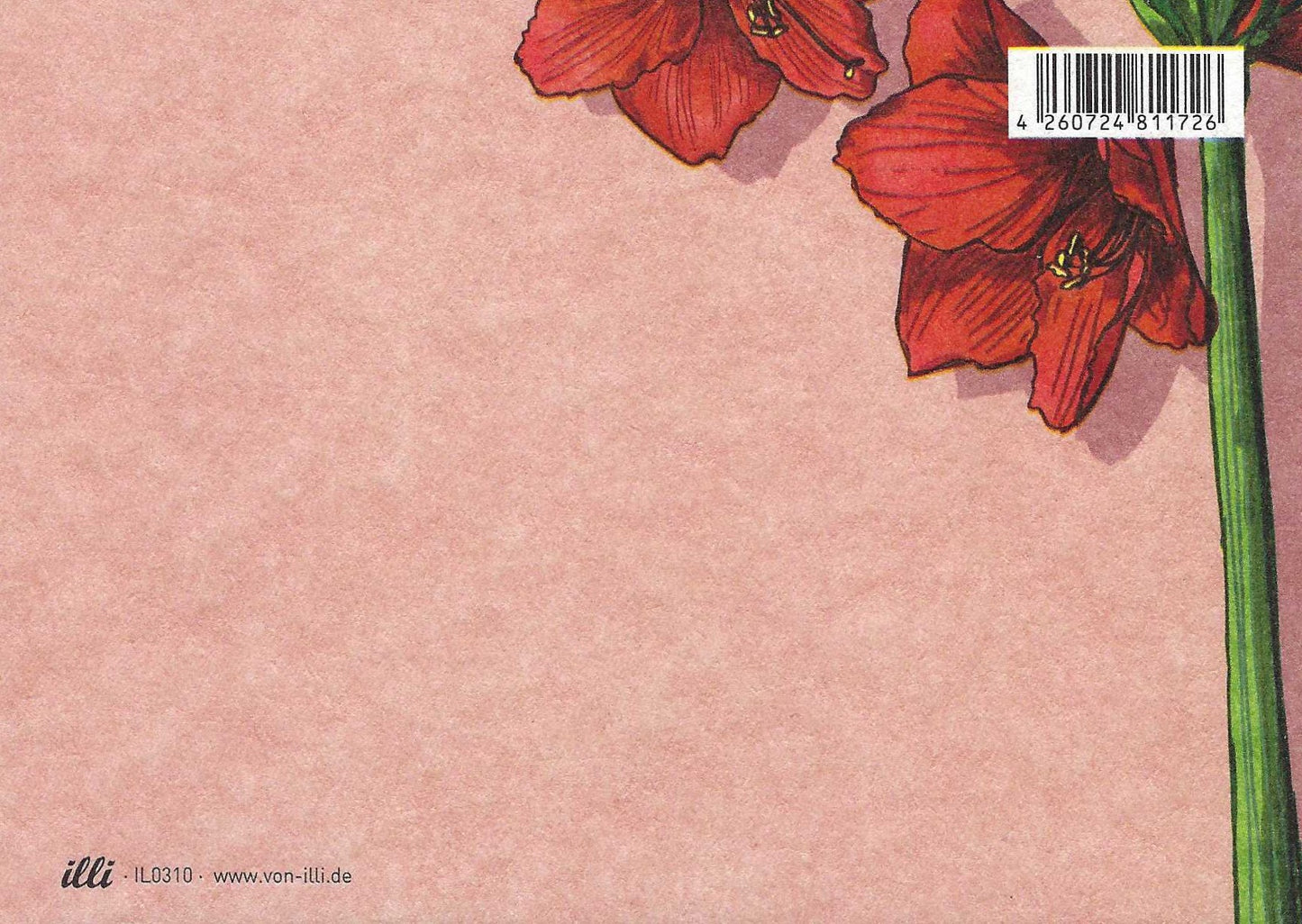 illi postcad back featuring Red Amaryllis flowers with green stems on a pink background with a barcode